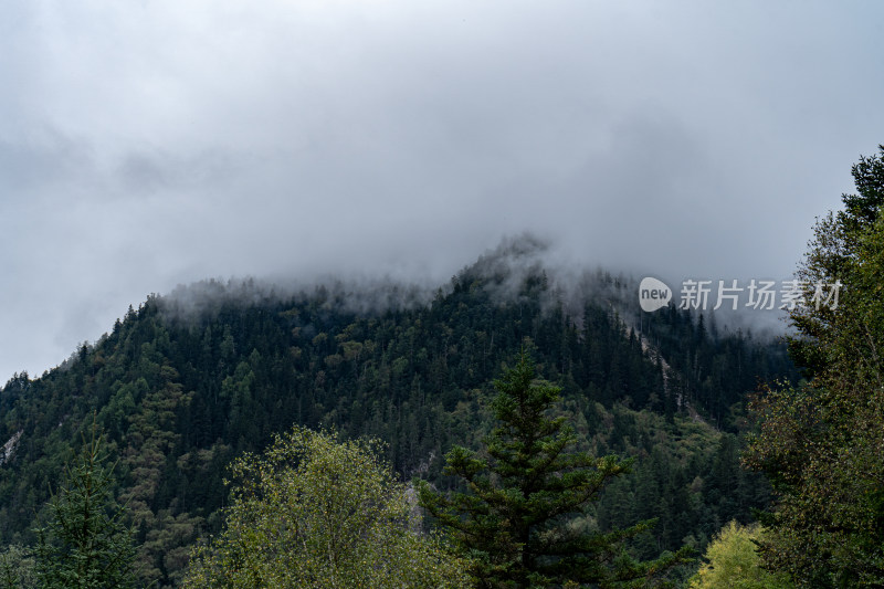 四川阿坝藏族羌族自治州九寨沟景区