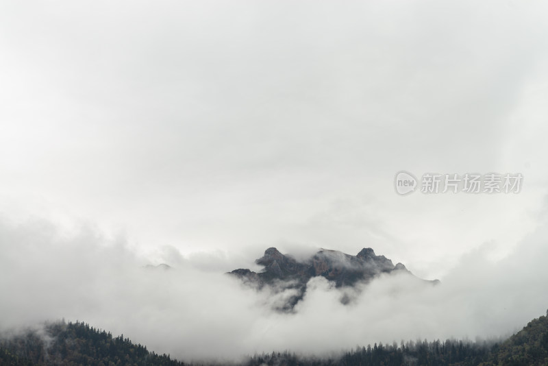云雾中的森林山峰虎头山