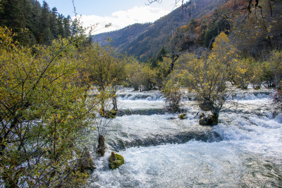 九寨沟秋色，树正瀑布山林溪流