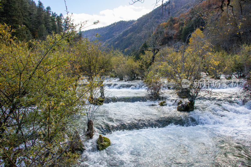 九寨沟秋色，树正瀑布山林溪流