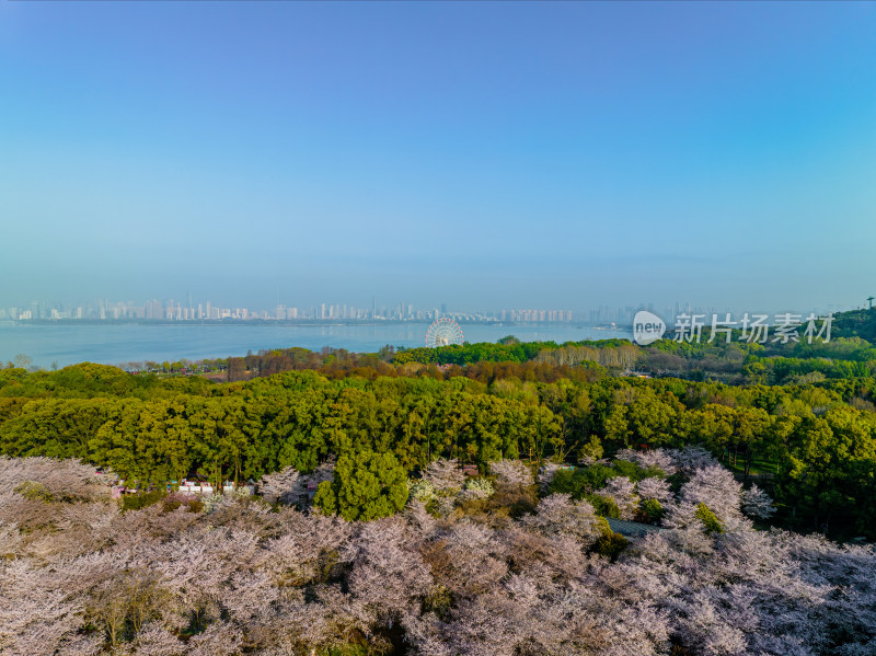 湖北武汉春季白天东湖磨山航拍风光