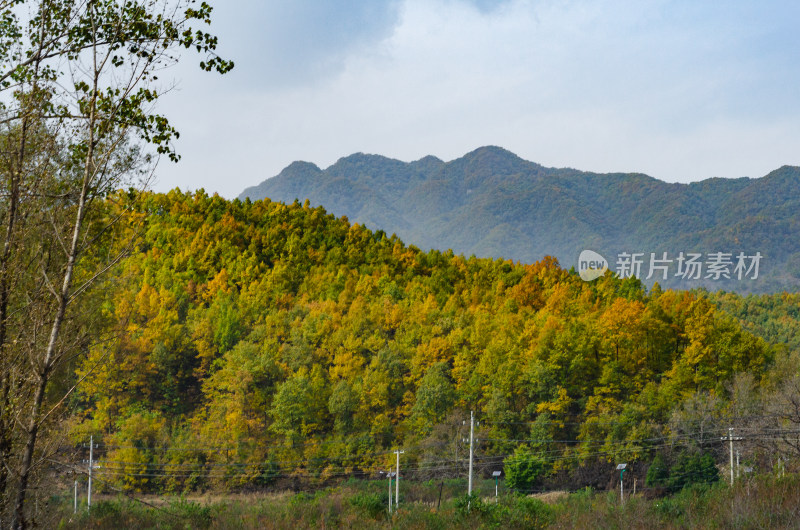 河南洛阳白云山的秋天风光