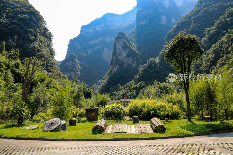 湖北宜昌三峡竹海风景区，自然风光，竹海