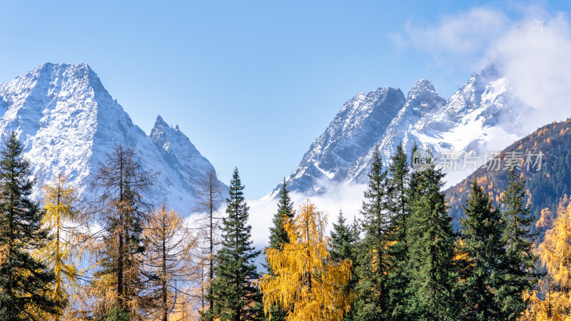 四川四姑娘山双桥沟景区秋天的雪山美景