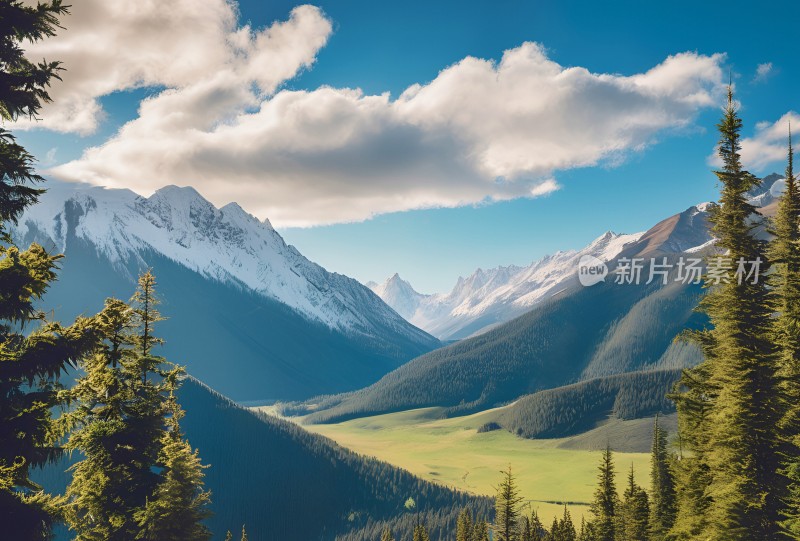 雪山高原草原森林风景