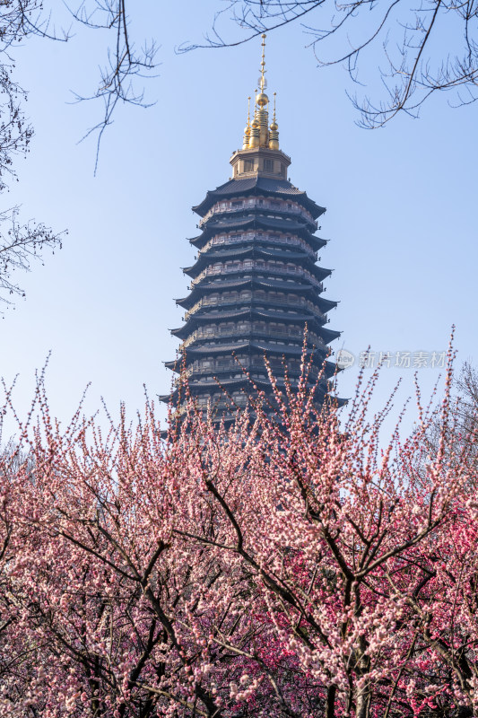 江苏省常州市红梅公园天宁寺