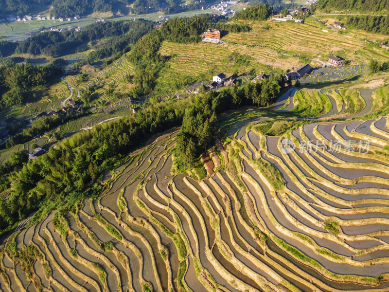 梯田风光