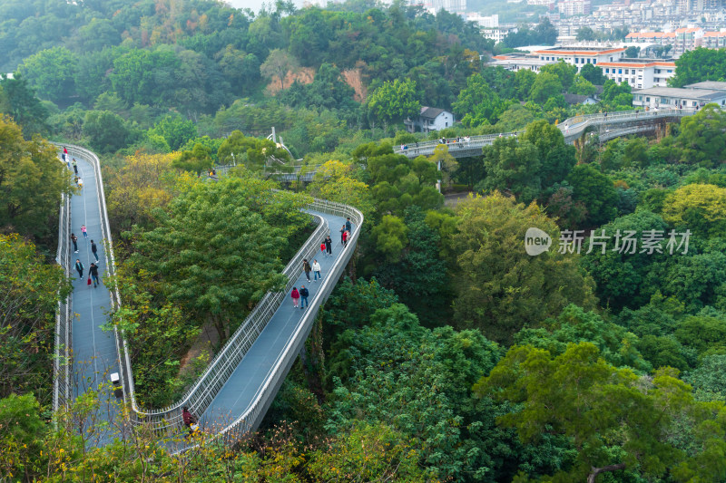 福州福道山林中蜿蜒的观景步道