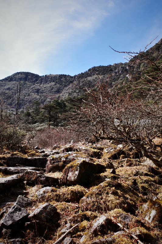 大理苍山洗马潭景区