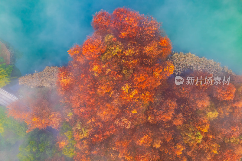 杭州西溪湿地自然风光