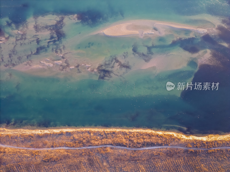 中国江河母亲河黄河生态湿地环境