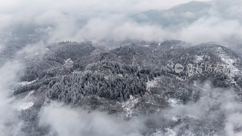 重庆酉阳：大雪纷飞赏雪忙