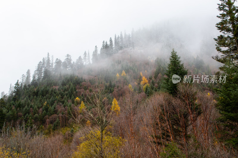 九寨沟秋景，雾中深山秋色