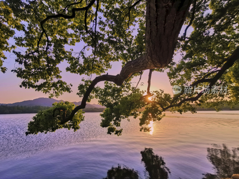 西湖的金色夕阳美景