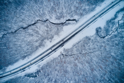 森林中的公路