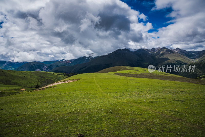 云雾缭绕的高山草原