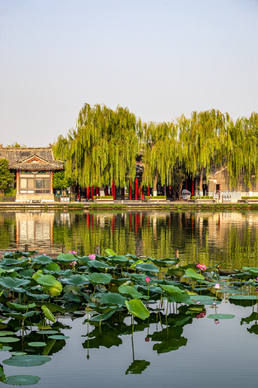 山东济南大明湖风景区自然景观与城市风光