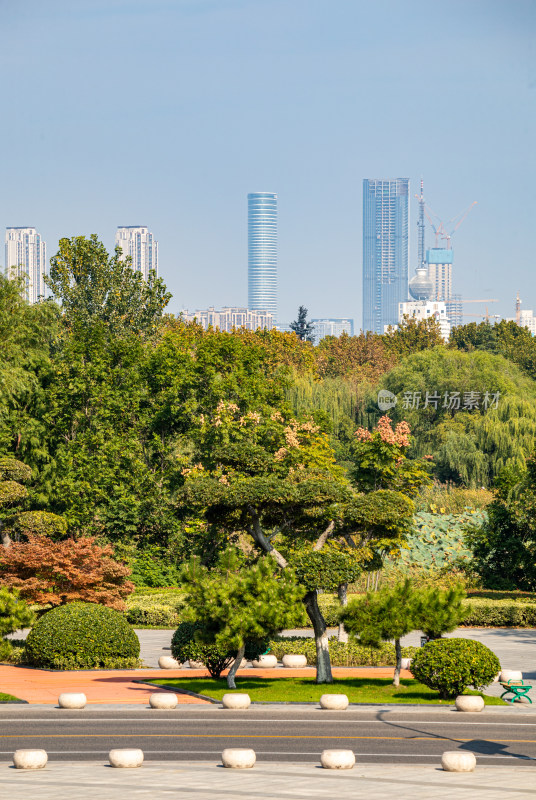 城市公园绿树与远处高楼景观