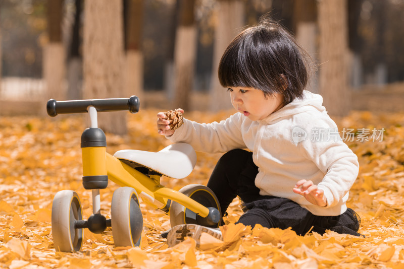 深秋坐在公园落满黄叶的草地上玩耍的女孩