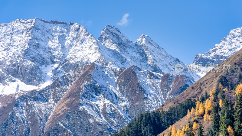 四川四姑娘山双桥沟景区秋天的雪山美景