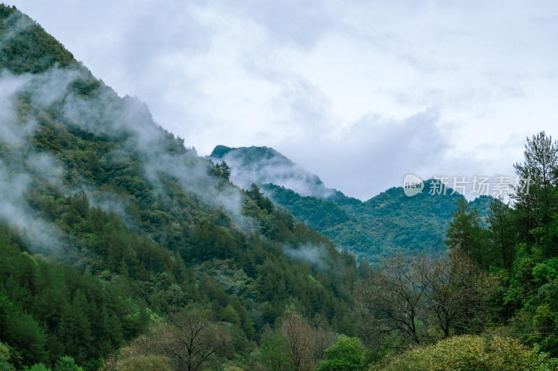 汉中留坝火烧店镇秦岭深处雨后山间的云雾