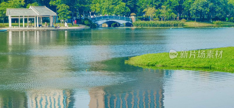 佛山市亚洲艺术公园湖景