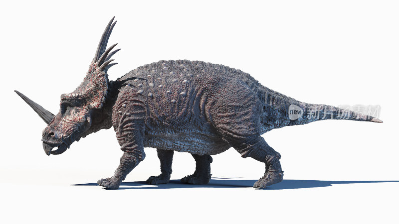 三角龙 大型食肉恐龙 远古恐龙