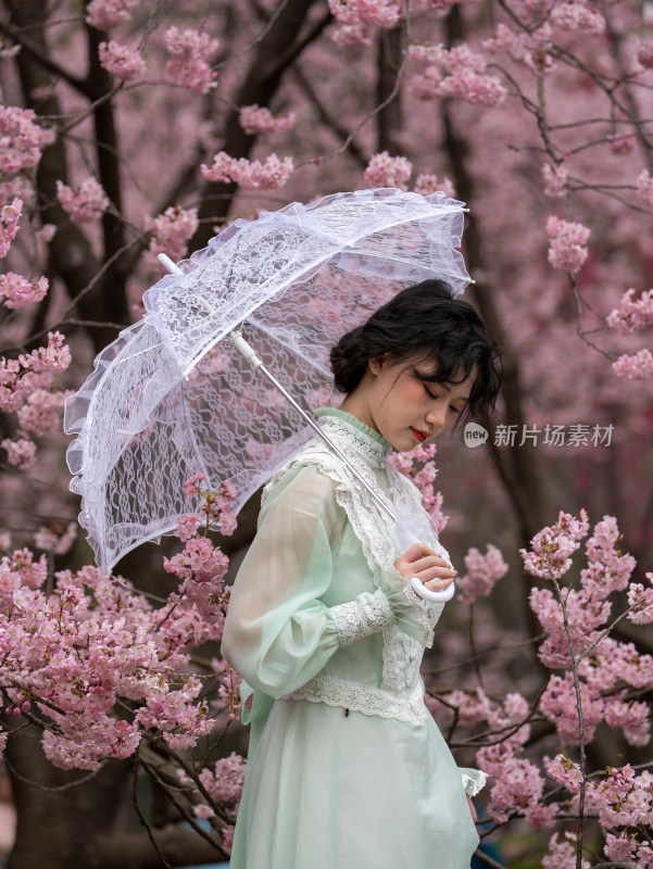 武汉东湖樱花园的早樱与拍照的游客
