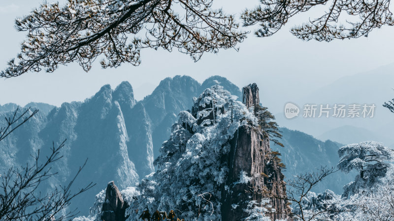 自然风光黄山风景区喀斯特地貌迎客松