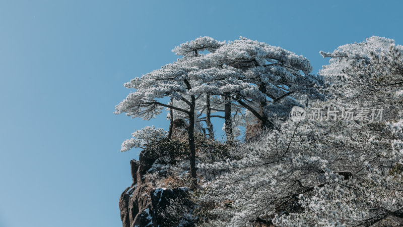 自然风光黄山风景区喀斯特地貌迎客松