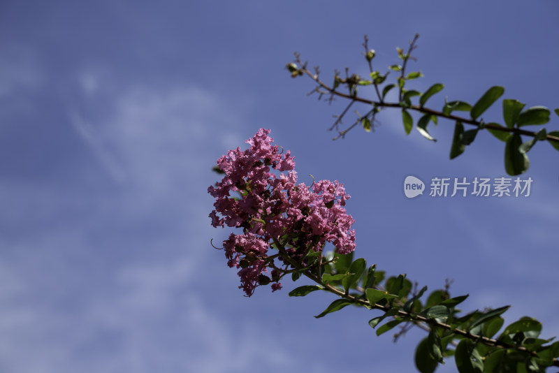 东江湖白廊景区