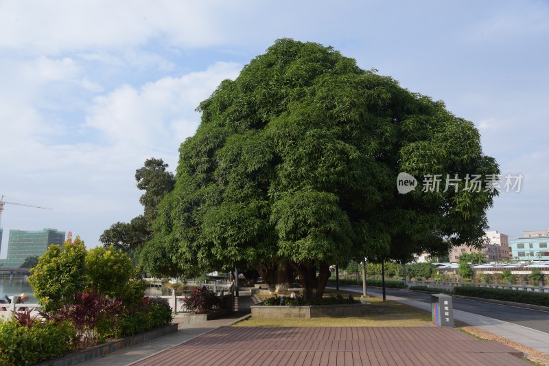 广东东莞：横丽湖沿湖风光