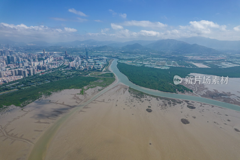 深圳市福田红树林保护区