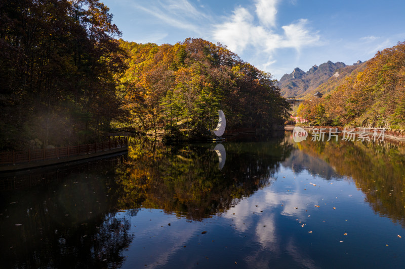 秋景漫山黄叶