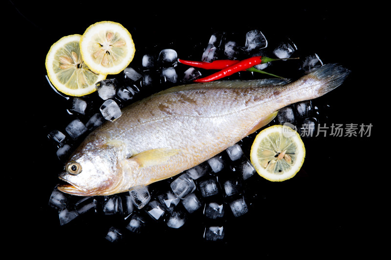 黄花鱼 海鱼 营养