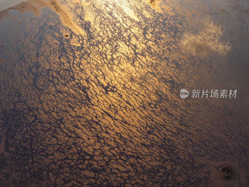 广东大湾区深圳前海湾涂滩航拍