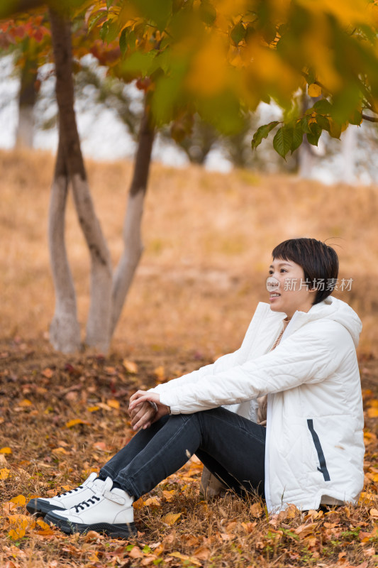 北京秋天秋游坐在树林中欣赏秋色美景的女性