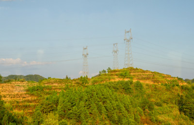 福建南平的丘陵植被