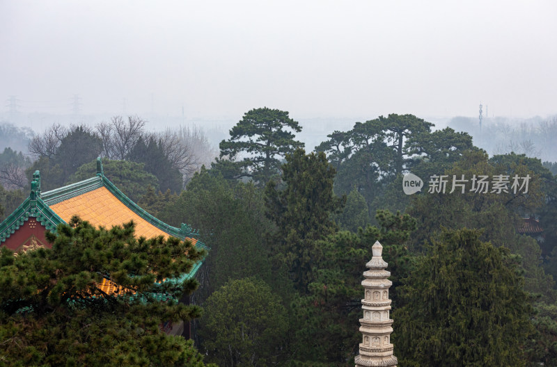 北京颐和园四大部洲景点景观