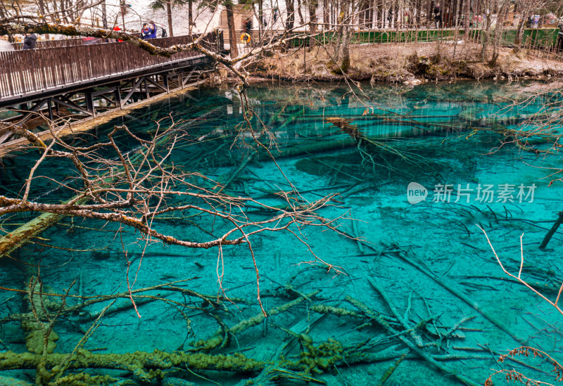 川西九寨沟冬季雪山碧蓝海子唯美