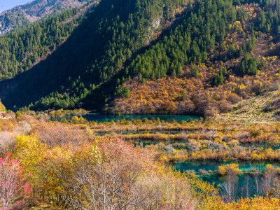 九寨沟秋景