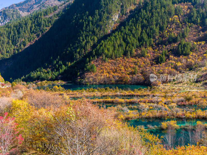 九寨沟秋景