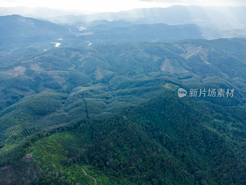 航拍绿意盎然的广袤山林自然景观