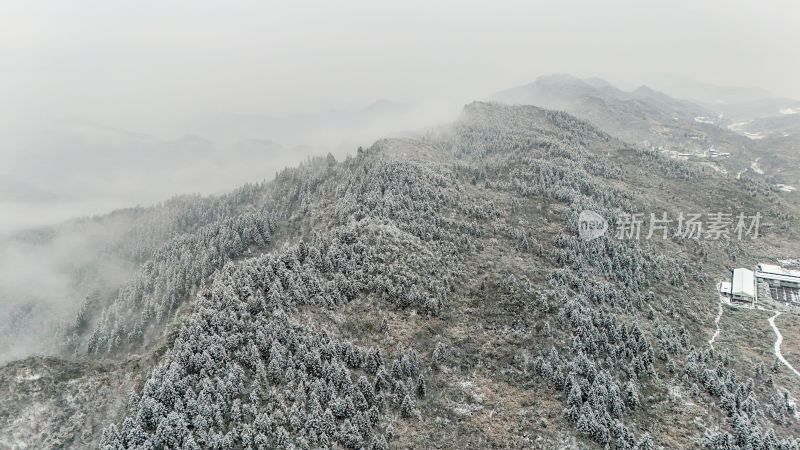 重庆酉阳：大雪纷飞赏雪忙