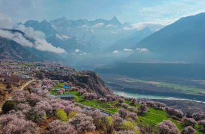 航拍西藏林芝索松村桃花和南迦巴瓦峰