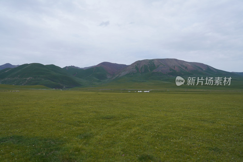 新疆内蒙大草原山脉自然风光