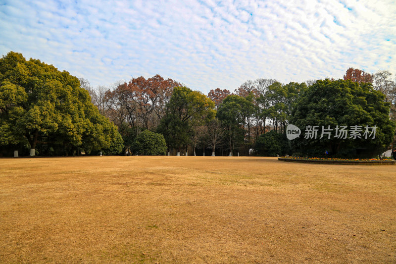 江苏南京钟山风景名胜区灵谷景区