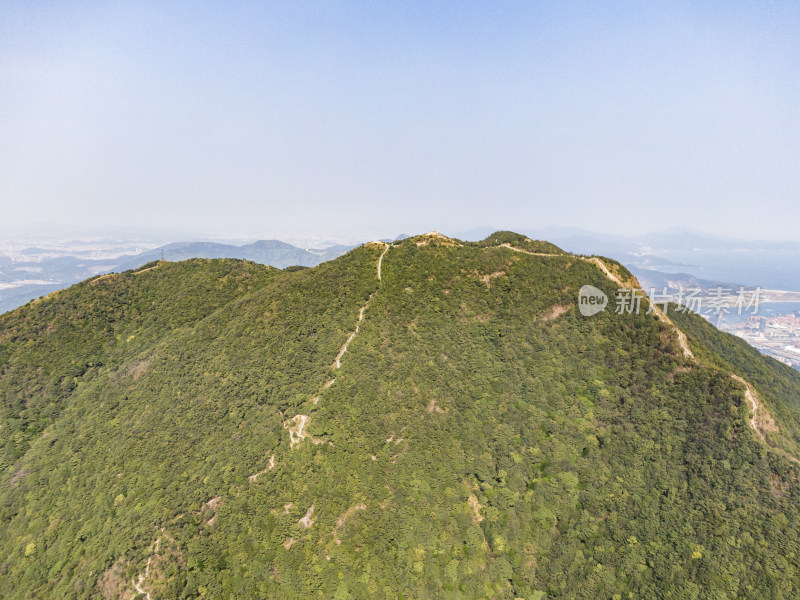 深圳梧桐山盐田区全景图