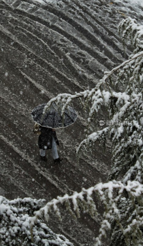 雪下行人