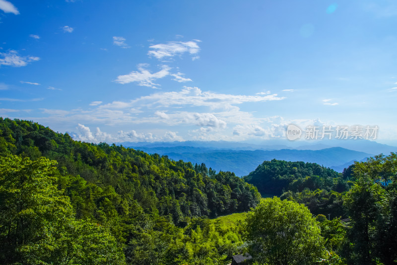 层峦叠翠的山林远景